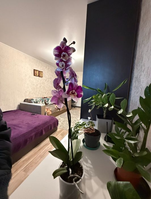 Продам 1к кв Польова