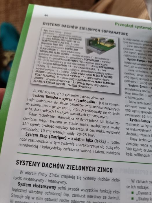 Poradnik jak wykonać taras i dach zielony