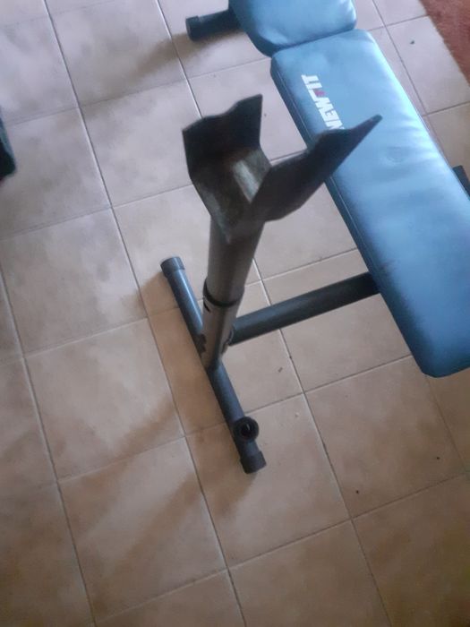 Musculação peitoral