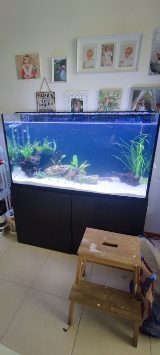 Aquário 300L  - 120x70x40