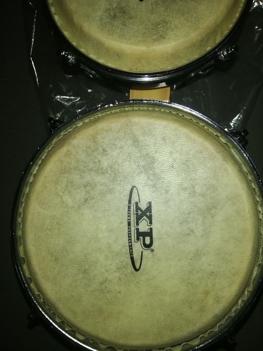 Bongos em pele novos