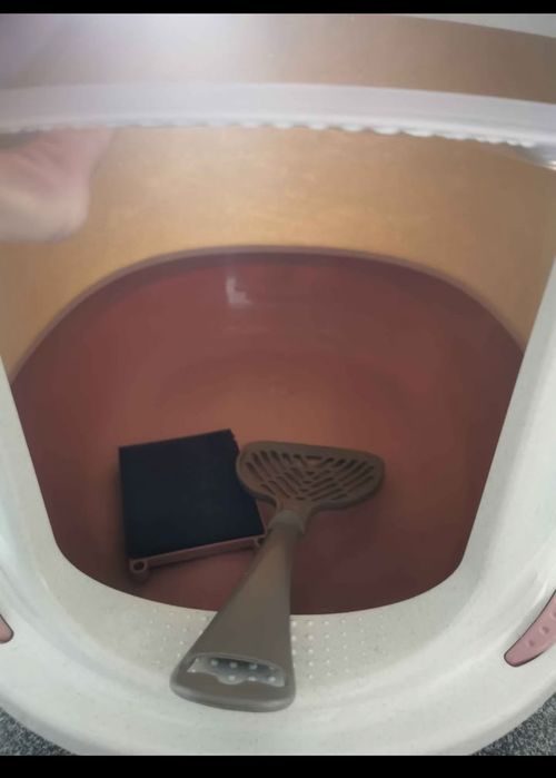 Caixa de areia para gato