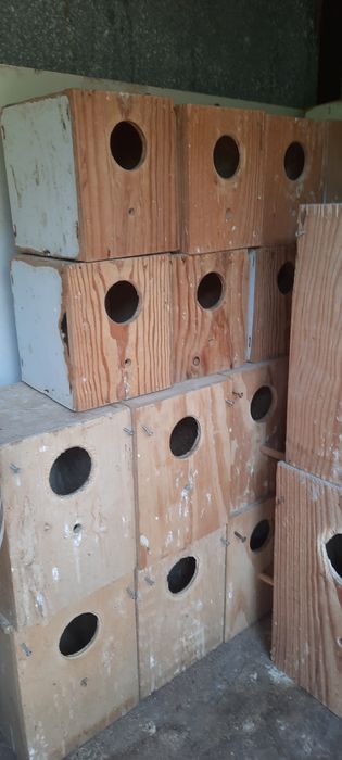 Ninhos usados, para caturras roseicollis e piriquitos