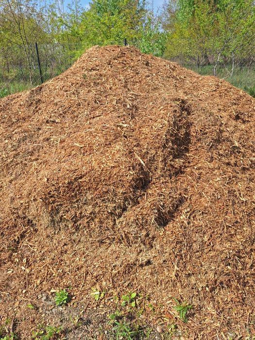 Zrębka mieszana m3 możliwy dowóz