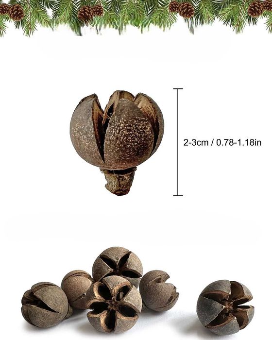 Naturalna dekoracja świąteczna 250g do wieńców i potpourri