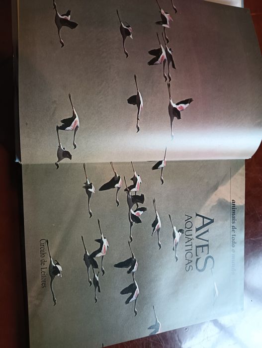 aves aquáticas Coleção Animais de todo o Mundo do Circulo de Leitores*