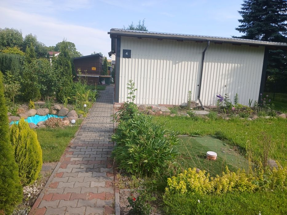 Działka ROD Stęszew ul.Kwiatowa - Widok 2