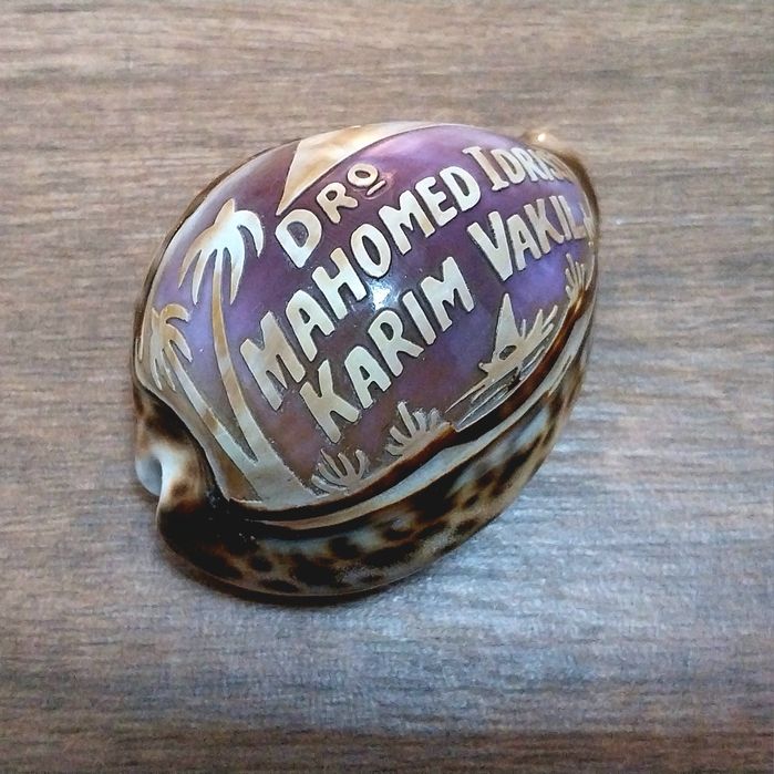 Concha muito  antiga com gravações