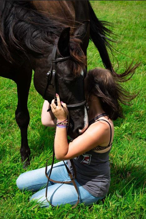 Piękna klacz na sprzedaż
