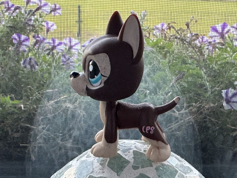 Lps littlest pet shop dog niemiecki 817/2
