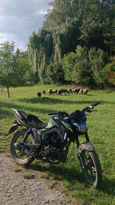 Мустанг Фортуна Мт 250 9R