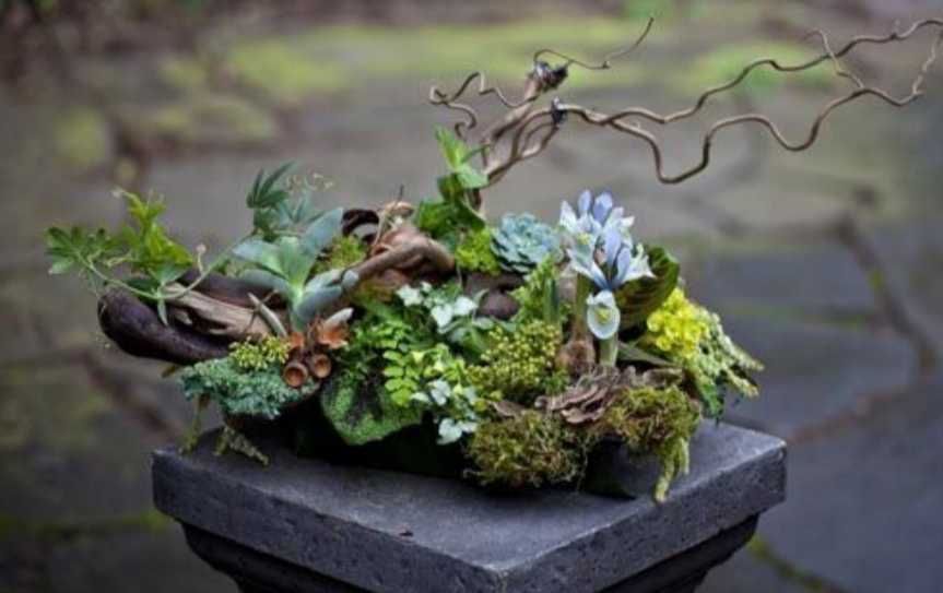 Kompozycja naturalna