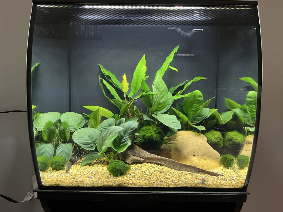 Akwarium Fluval Flex 57l plus szafka
