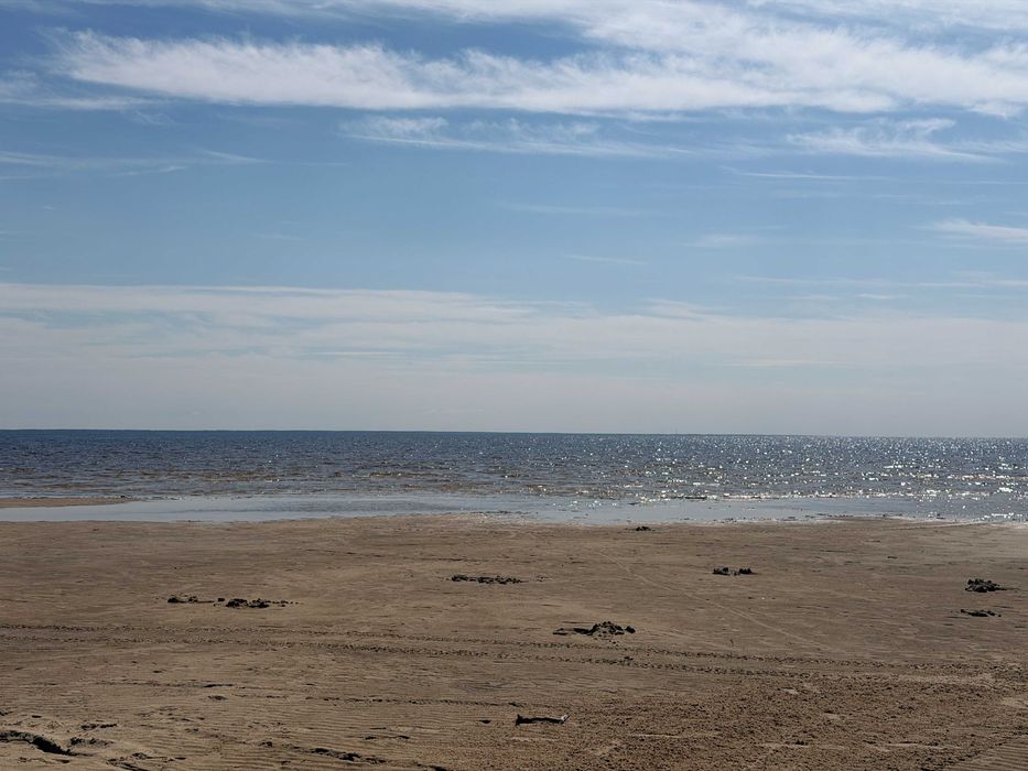 Толокунь • 12 соток • сосни • Київське море • 50 км від Києва