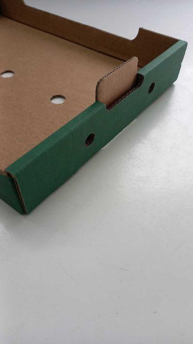 caixas cartão 40x30x5cm para pequenos frutos