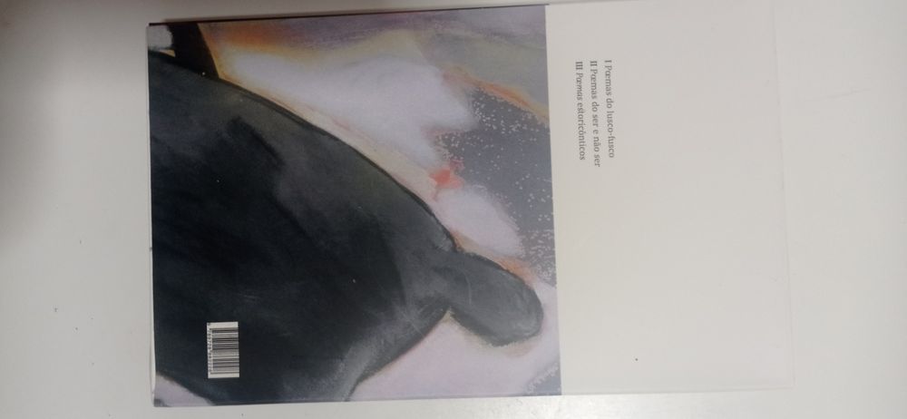 Nova ponte sobre um velho rio