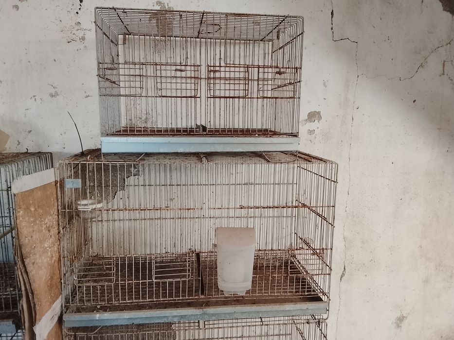 Viveiros para aves várias medidas