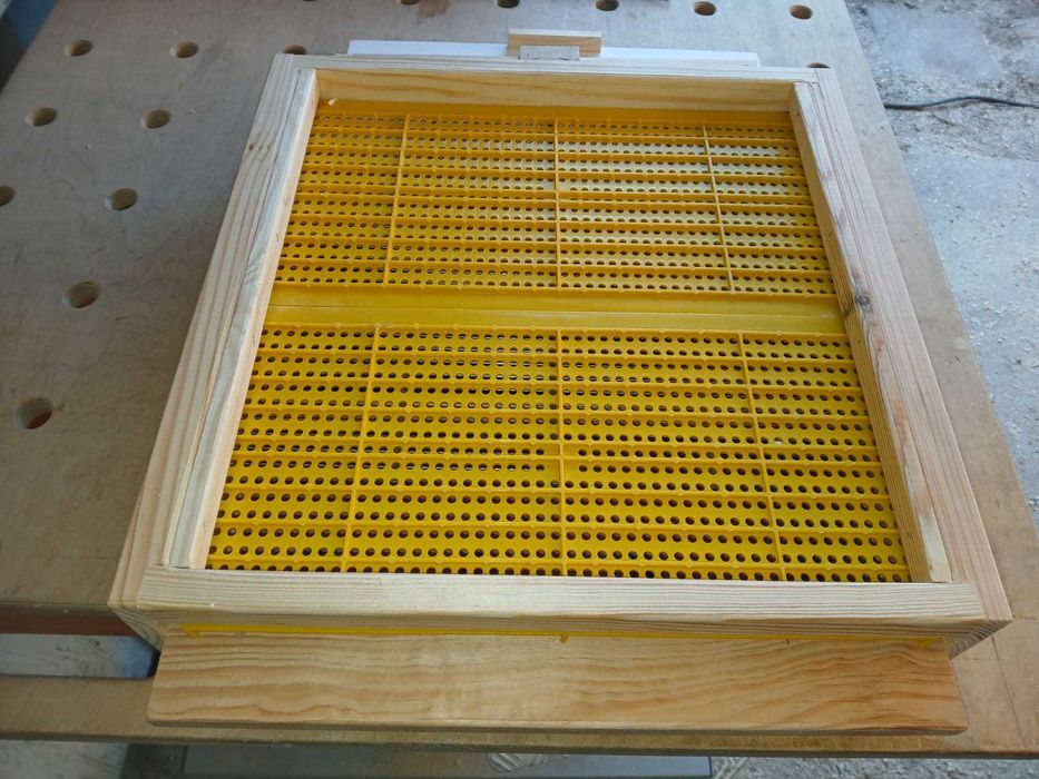 Dennica wielkopolska do poławiania pyłku