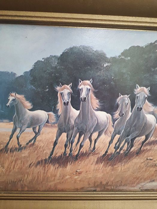 OBRAZ konie w galopie