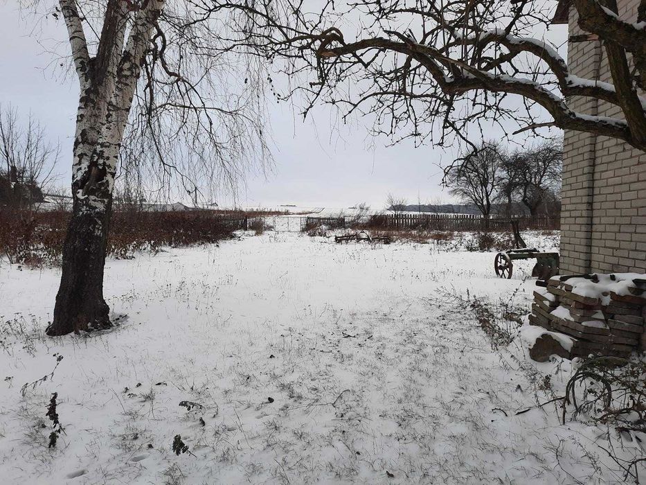 gospodarstwo rolne z budynkami - Więcej