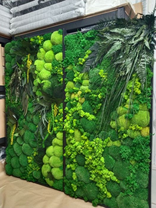 Картини з Мохом. Декор із Моху. Фітопанель з Моху