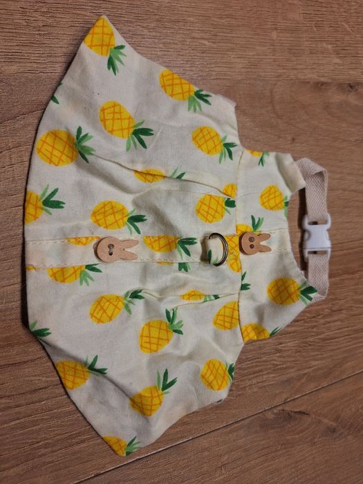 Ubranko dla królika miniaturki smycz