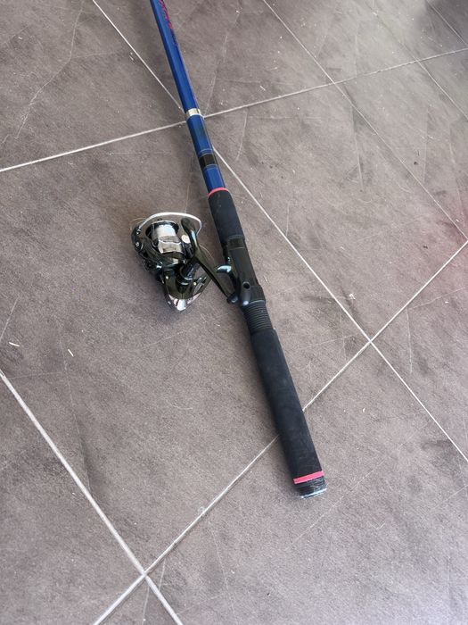 2 canas de pesca em boas condissões