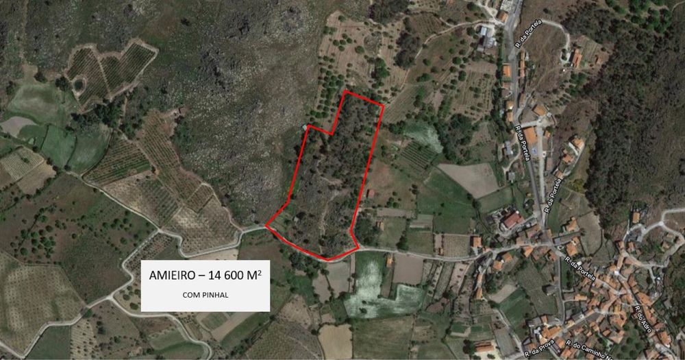 Terrenos rústicos para venda em Paredes da Beira, S. João da Pesqueira