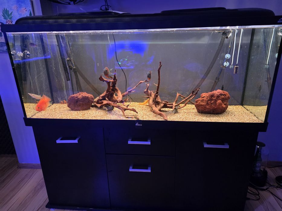 Akwarium z życiem 450l