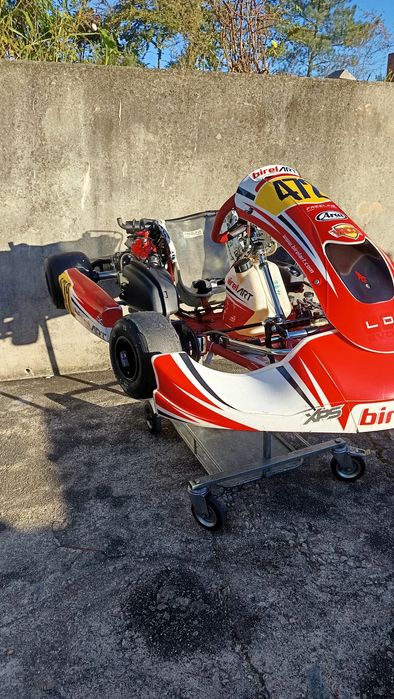 Kart Birel Rotax Dd2 -