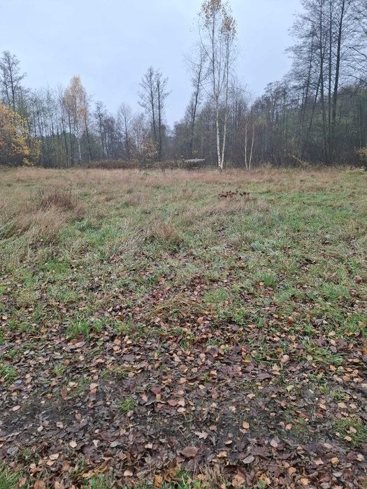 Sprzedam łąkę 0,44 ha – działka 1909, Kletnia