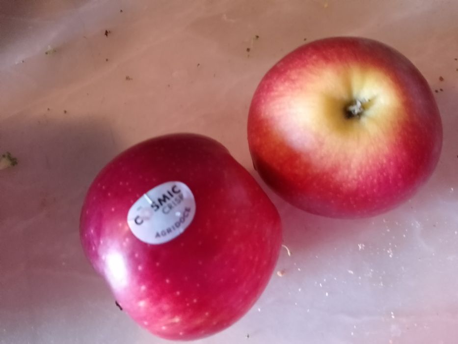 J.Gomes Ferreira:Co.de Absur.1e.12E-Aven.J.S.Medo3e10E-Maças5EDesde2E