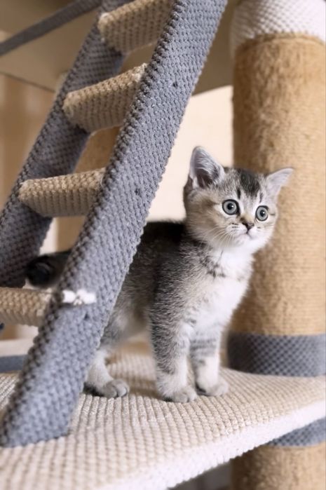 Шикарний плюшевий хлопчик