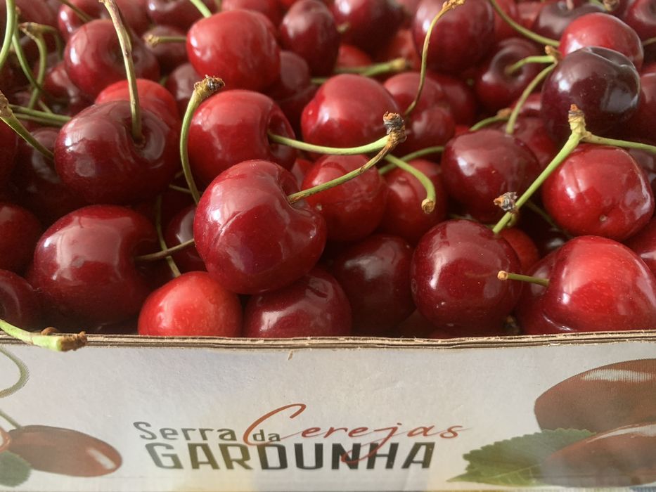 Cereja do Fundão - calibre 28 a 32