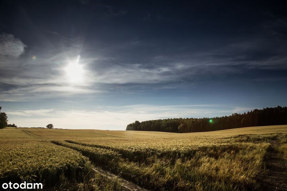 Działka nad Zalewem Wiślanym