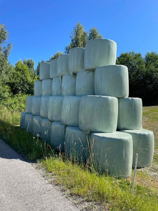 Sianokiszonka 2025r i siano