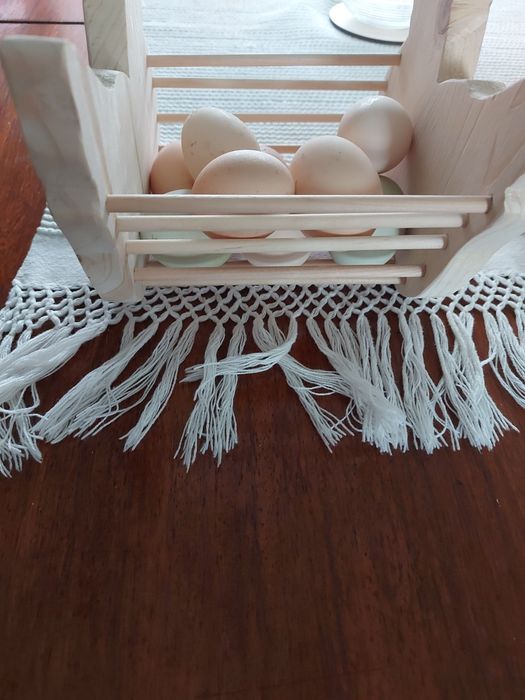 Galinha suporte para ovos