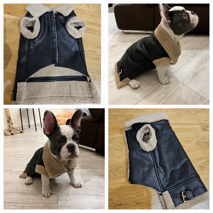 Фірмова дублянка River Island для тварин