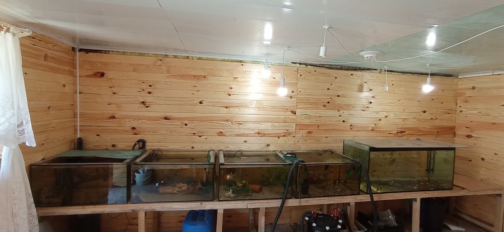 Акваріум 700*600*350(д*ш*в) скло 6мм усталений рамкою