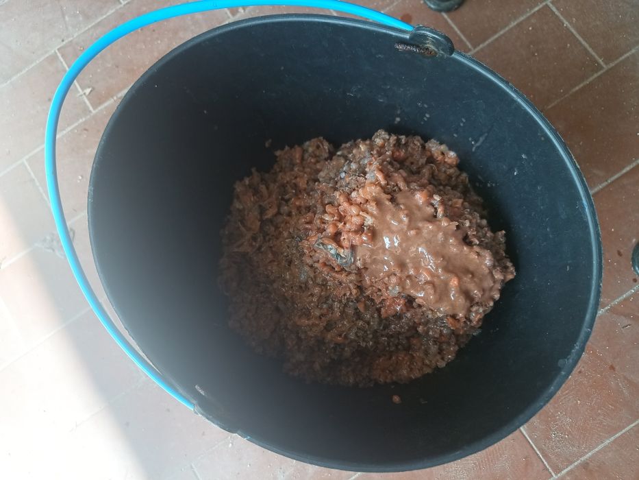 Engodo / pescas diversas