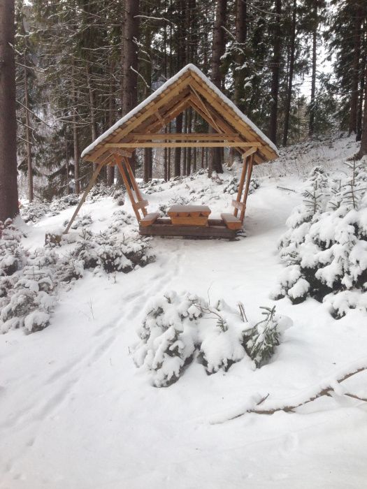 Котедж Анастасия.Новий рік вільно.