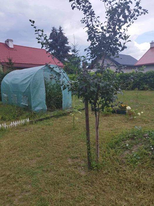 Działka ogrodowa