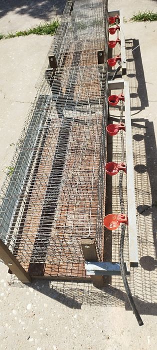 Jaulas para codornizes