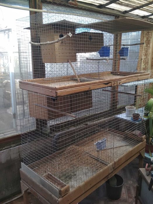 Дешево Клетки и домики для разведения попугаев, птицы