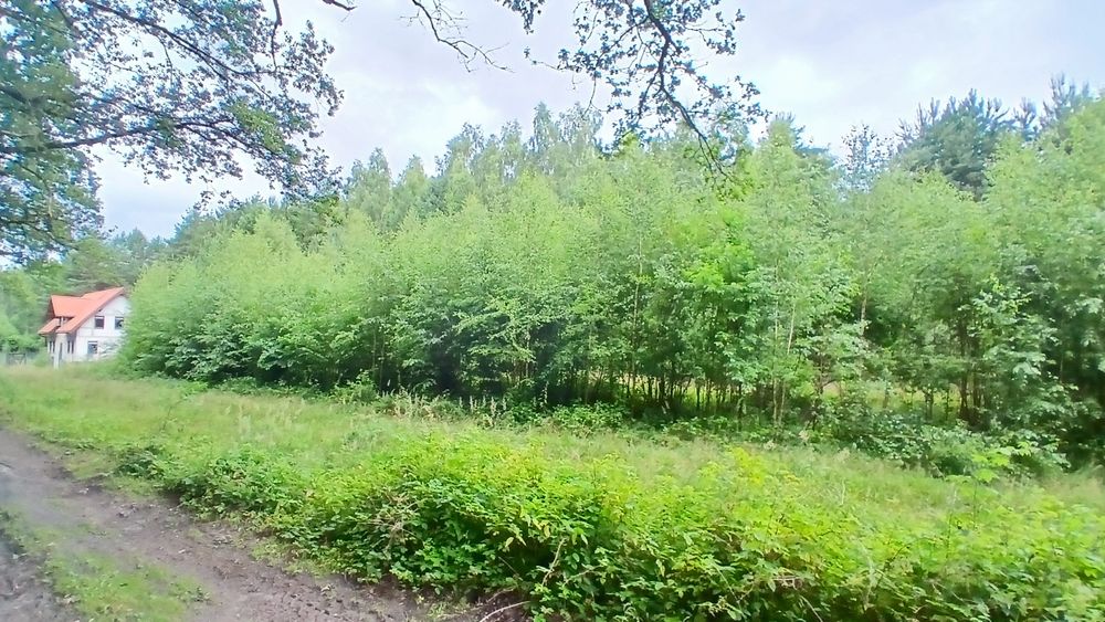 Działka pod lasem-możliwość zabudowy