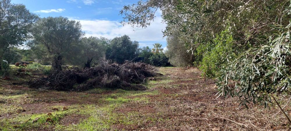 Terreno a 1km de Paderne