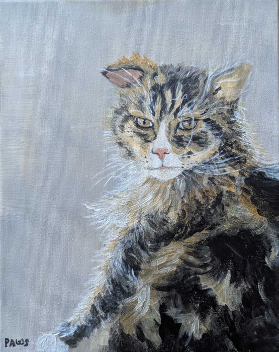 Retratos Personalizados de Animais Pintados à Mão | PAWS Studio