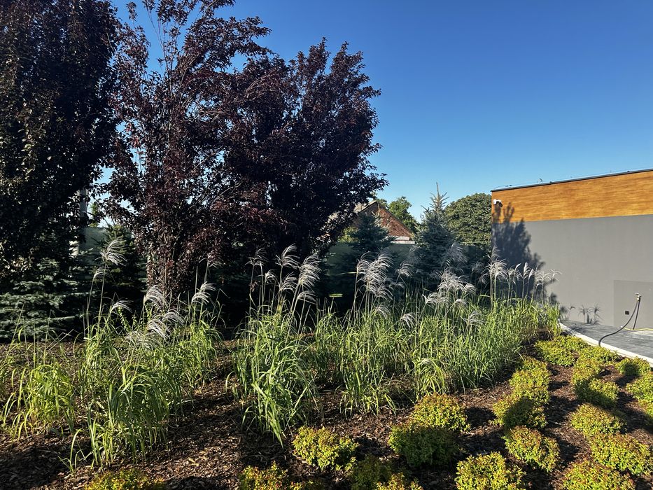 Zakładanie ogrodów, Trawniki, Nawodnienia, Usługi ogrodnicze, Ogrody