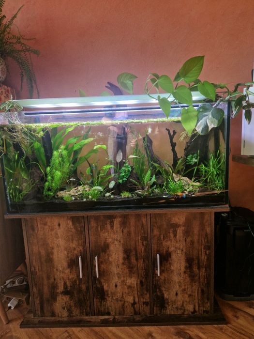 Akwarium 160l zestaw