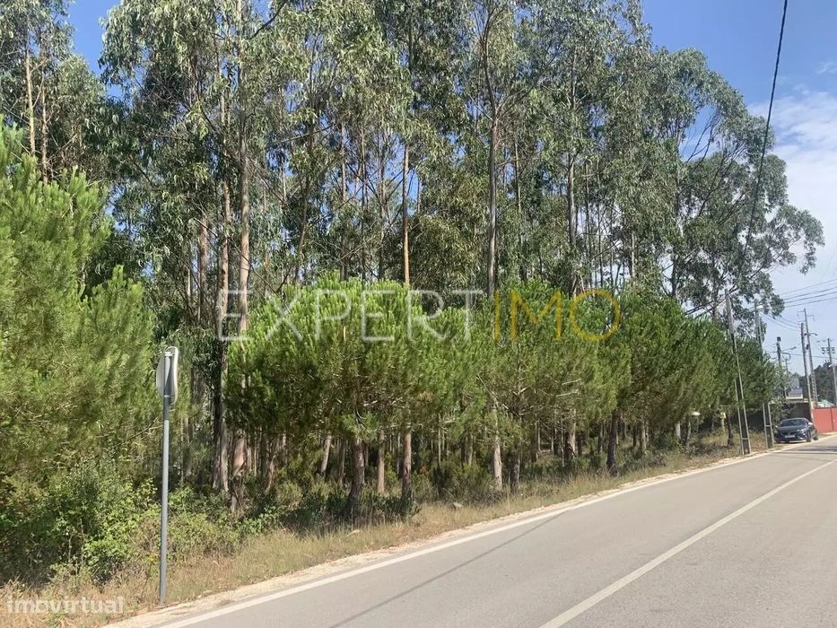 Industrial Land in Leiria/Barosa